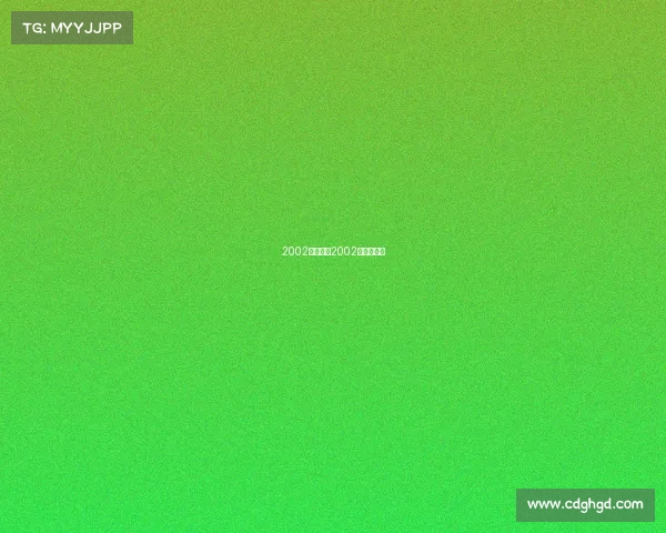 2002中国赛事2002中国队比赛