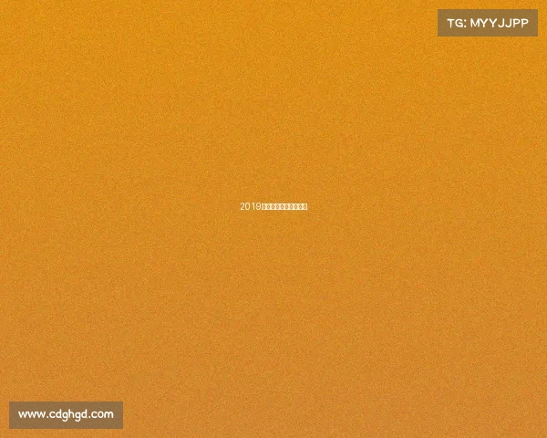 2019年世界女排联赛南京站