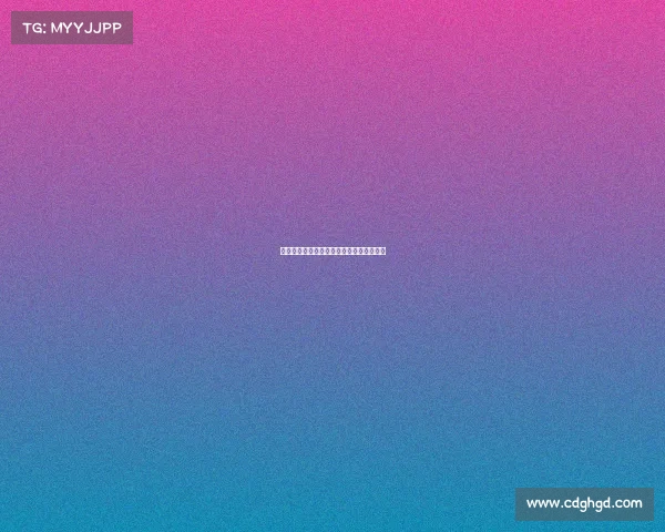 世界散打顶尖赛事盛典，全球高手巅峰对决