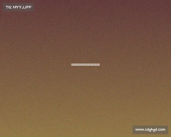 中国女排巴黎奥运会排球赛夺冠精彩历程回放