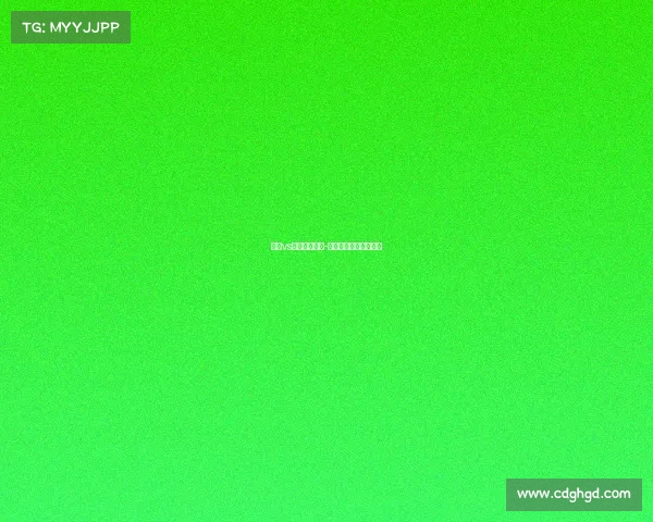 丹麦vs法国赛事分析-丹麦对法国比分是多少