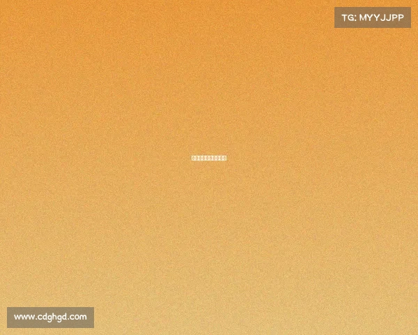 地区性比赛是什么意思