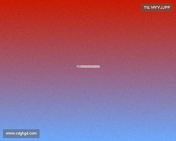 NV巅峰战袍，荣耀加身的新篇章